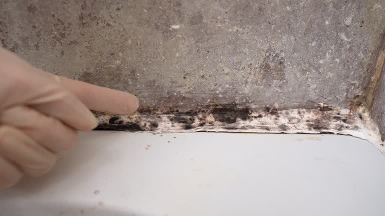 Best Residential Mold Inspection & Testing  in Midlothian, VA